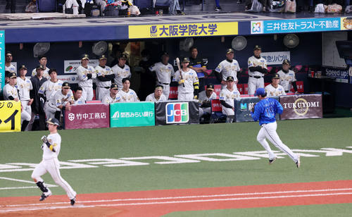 阪神対DeNA 9回裏阪神2死、近本の二ゴロで試合終了となりベンチで厳しい顔をみせる阪神の選手たち、右端は岡田監督（撮影・加藤哉）