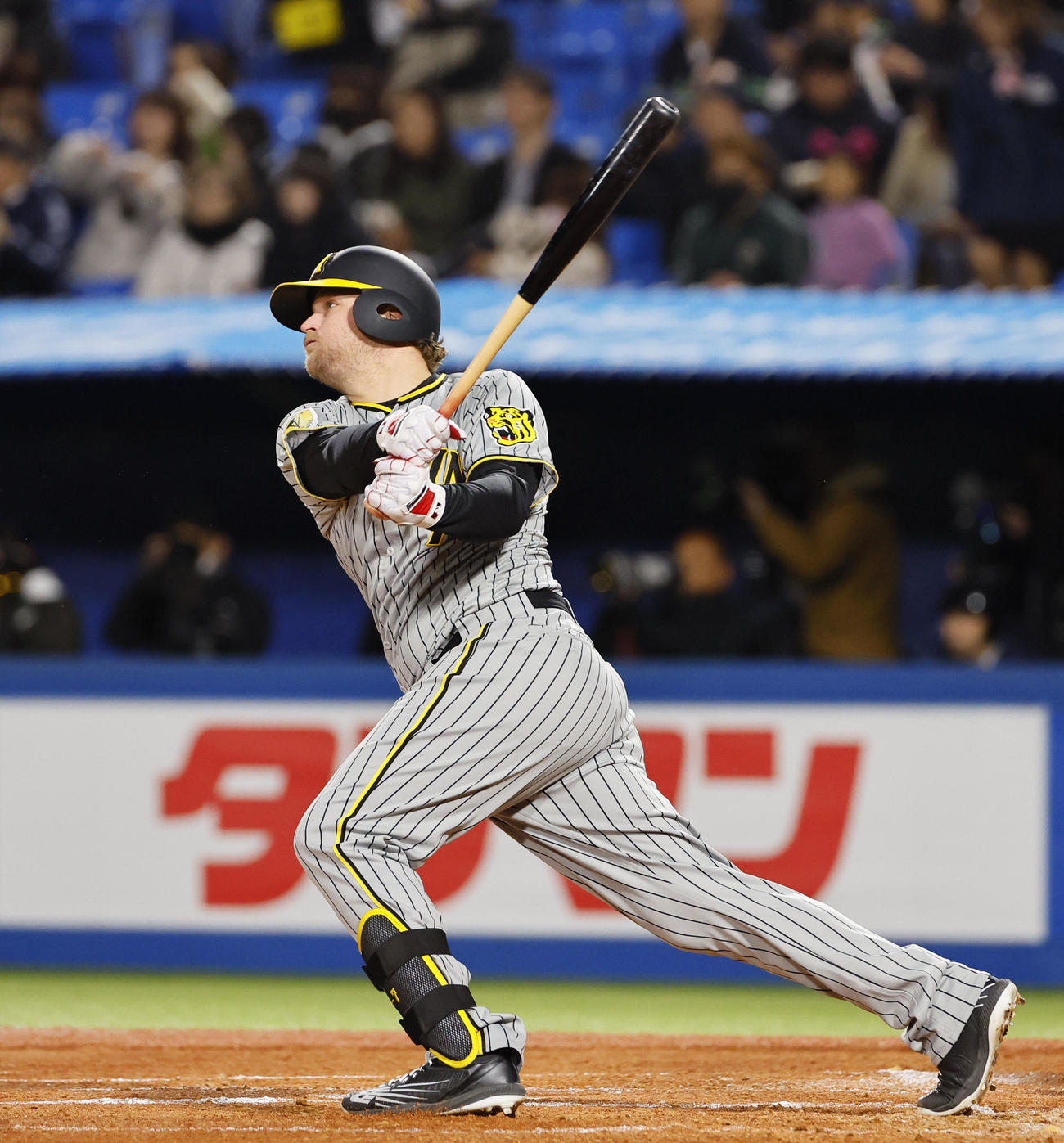 ヤクルト対阪神　2回表阪神無死一塁、ノイジーは左越えに先制の2点本塁打を放つ（撮影・藤尾明華）