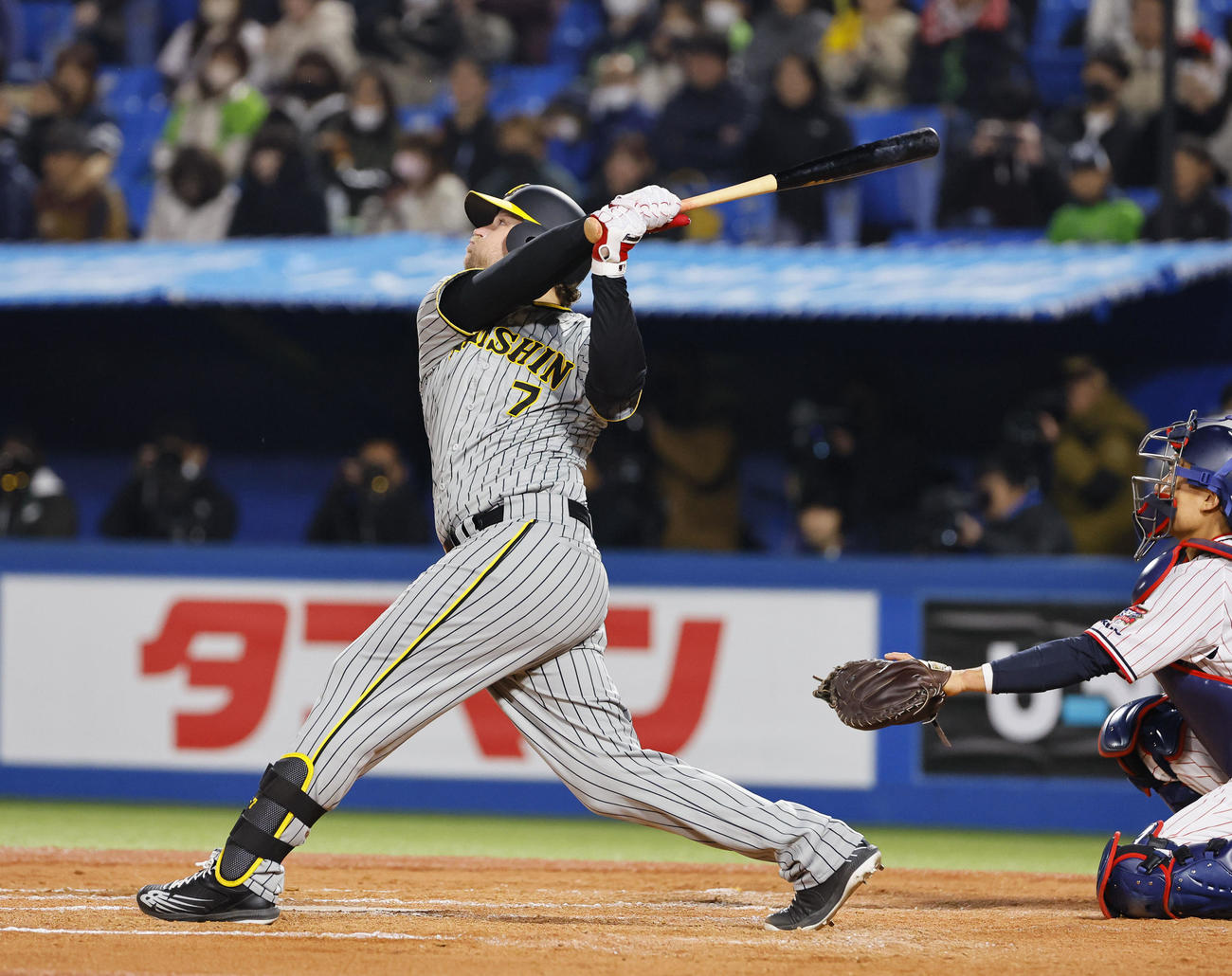 ヤクルト対阪神　8回表阪神1死二、三塁、ノイジーは右犠飛を放つ（撮影・藤尾明華）