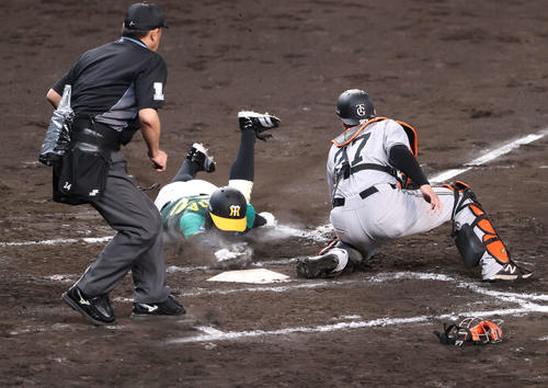 阪神対巨人　7回裏阪神1死二、三塁、三走植田（中央）は代打糸原の右犠飛で生還する。捕手岸田（撮影・上山淳一）