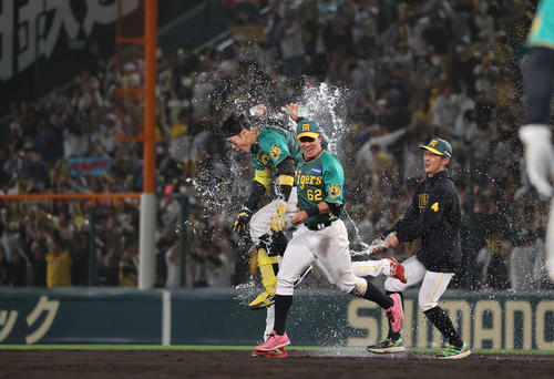 阪神対巨人　10回裏阪神無死満塁、右前にサヨナラ安打を放った佐藤輝（左）は水をかけられ祝福される（撮影・河野匠）