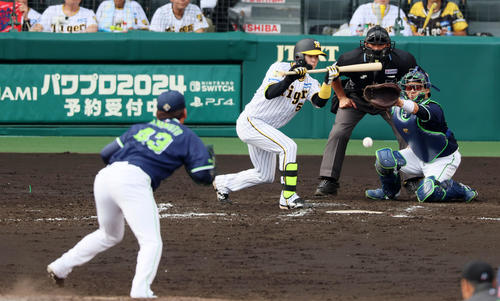阪神対ヤクルト　7回裏阪神1死一塁、中野は投前犠打を決める。投手は山本（撮影・加藤哉）