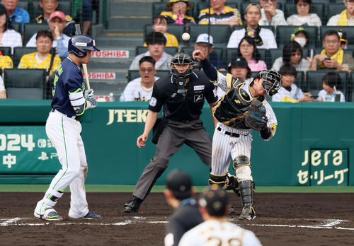 阪神対ヤクルト　7回表ヤクルト1死一塁、打者村上の時、梅野は二盗を試みた丸山和を刺す（撮影・加藤哉）