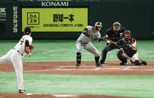 巨人対阪神　7回表阪神2死、バントを試みる佐藤輝。投手大江（撮影・足立雅史）