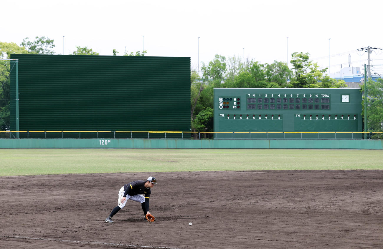 2軍に降格し、ノックを受ける阪神佐藤輝（撮影・前田充）