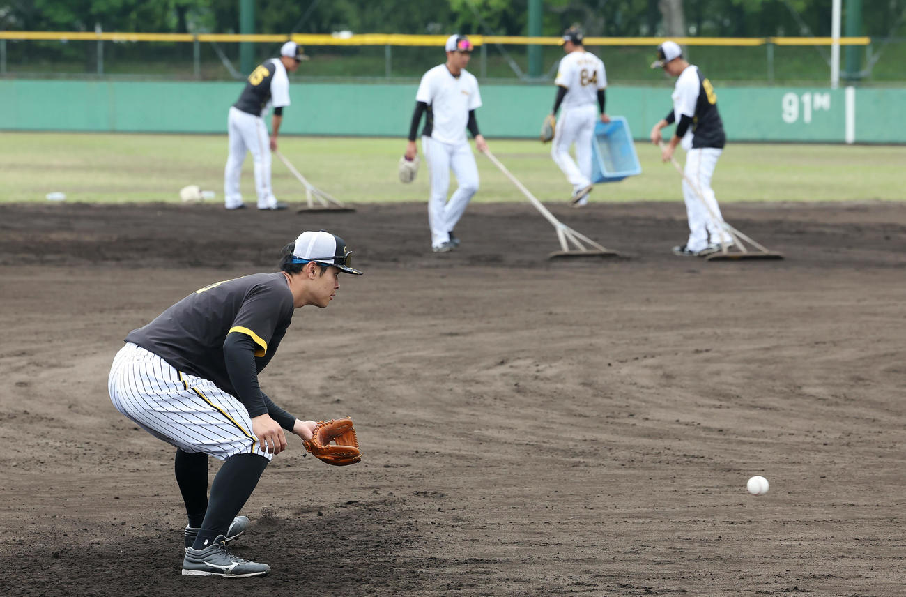 2軍に降格し、ノックを受ける阪神佐藤輝（撮影・前田充）