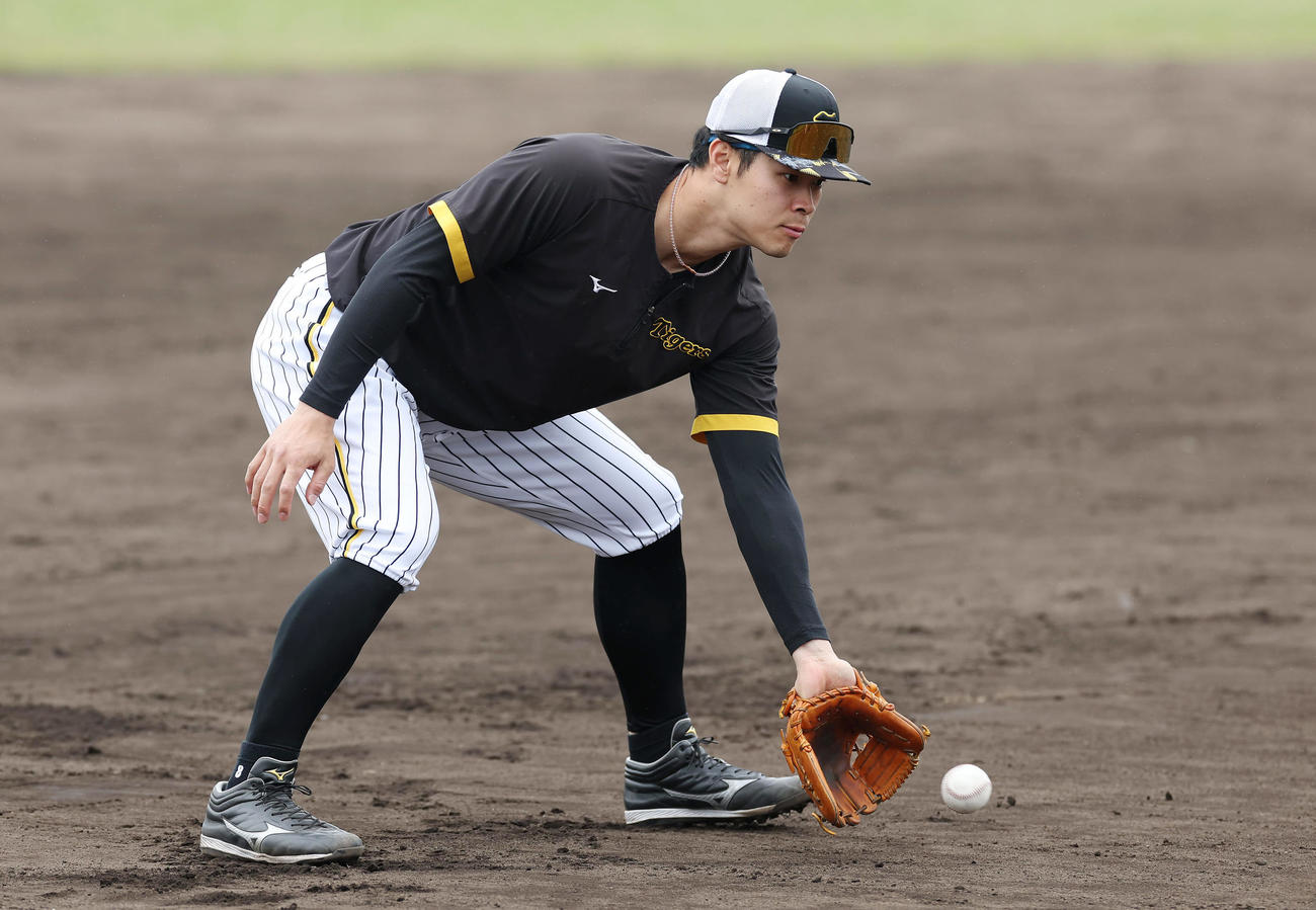 2軍に降格し、ノックを受ける阪神佐藤輝（撮影・前田充）