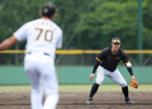 阪神情報　2軍に降格し、ノックを受ける阪神佐藤輝。手前は田中コーチ（撮影・前田充）