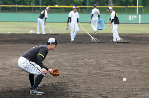 2軍に降格し、ノックを受ける阪神佐藤輝（撮影・前田充）