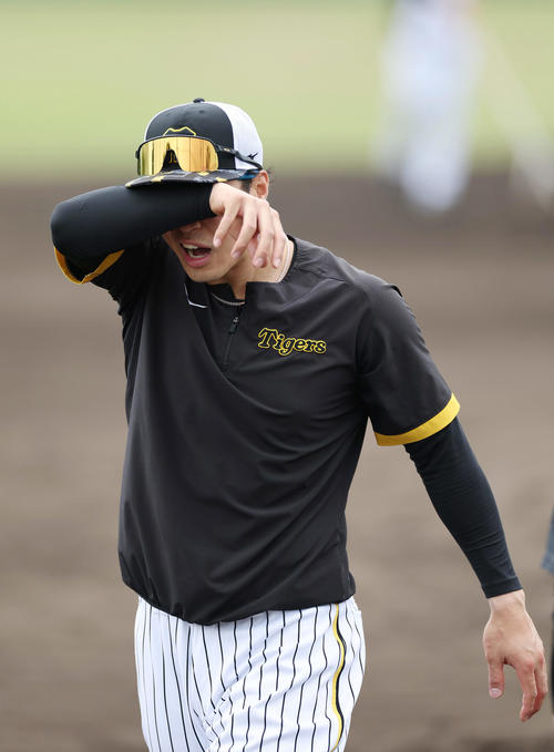 ノックの合間に汗をぬぐう阪神佐藤輝（撮影・前田充）