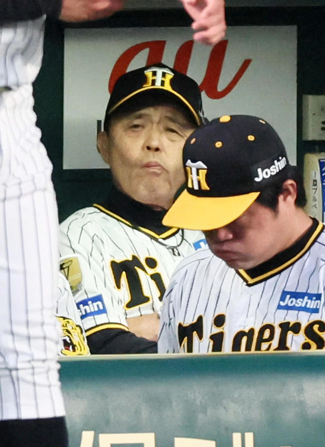 阪神対日本ハム　4回表を終えベンチで厳しい表情を見せる岡田監督（撮影・加藤哉）