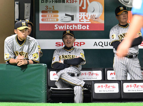 ソフトバンク対阪神 試合を見つめる岡田監督(中央)(撮影・林敢治)