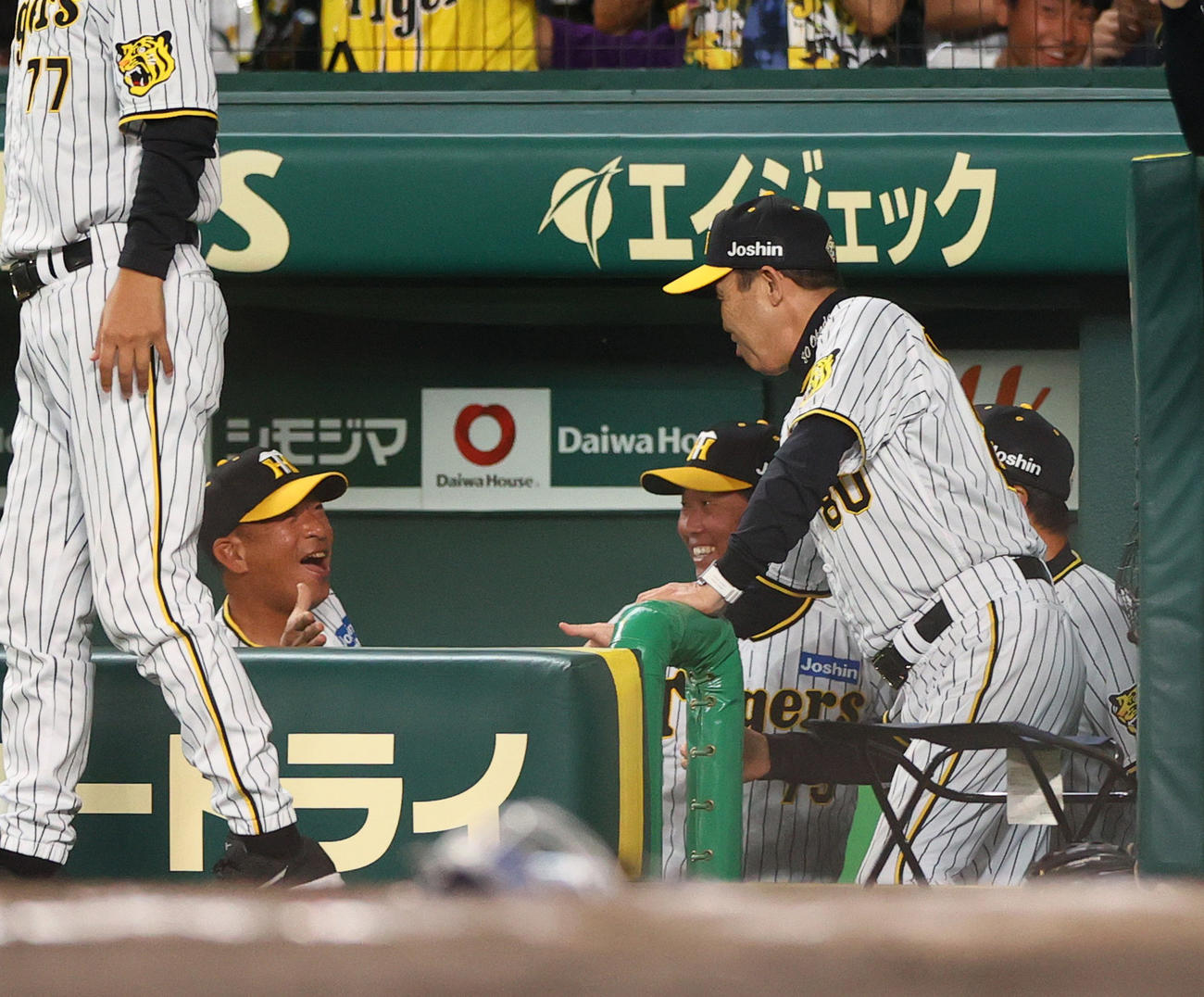 阪神対DeNA 9回裏阪神2死一、二塁、岡田監督（右）は小幡の右前適時打でサヨナラ勝ちしベンチで喜ぶ（撮影・上山淳一）