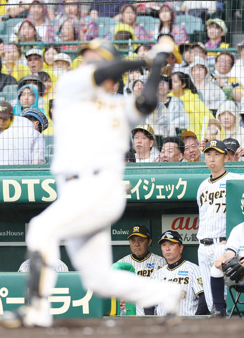 阪神対DeNA 9回裏阪神2死、大山（手前）の遊飛をベンチから厳しい表情で見つめる岡田監督（後方左）ら（撮影・前田充）