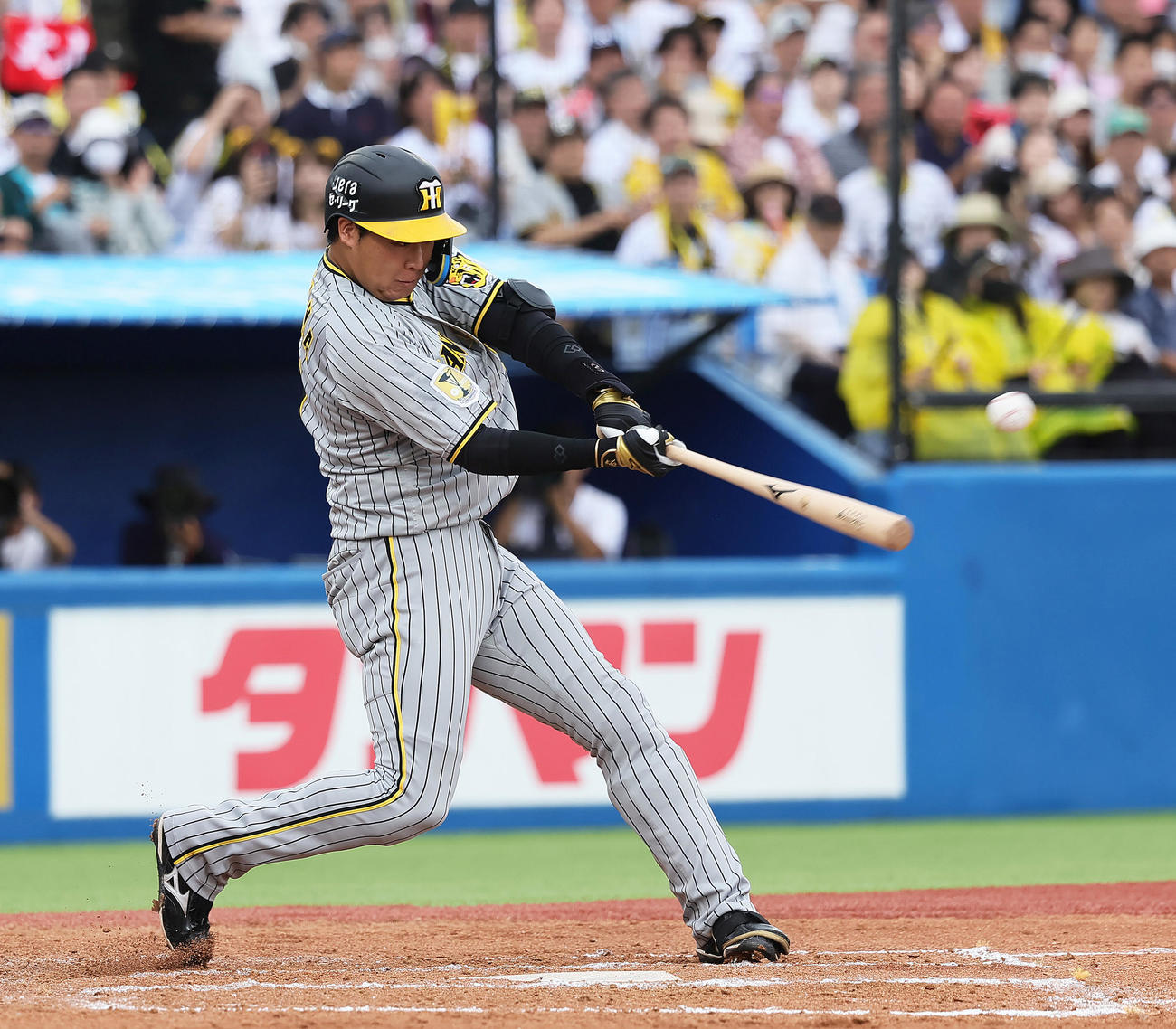ヤクルト対阪神　7回表阪神2死一、二塁、大山は中前適時打を放つ（撮影・足立雅史）
