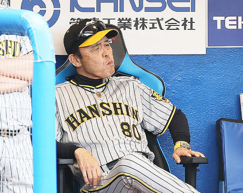 ヤクルト対阪神　戦況を見つめる阪神岡田監督（撮影・足立雅史）