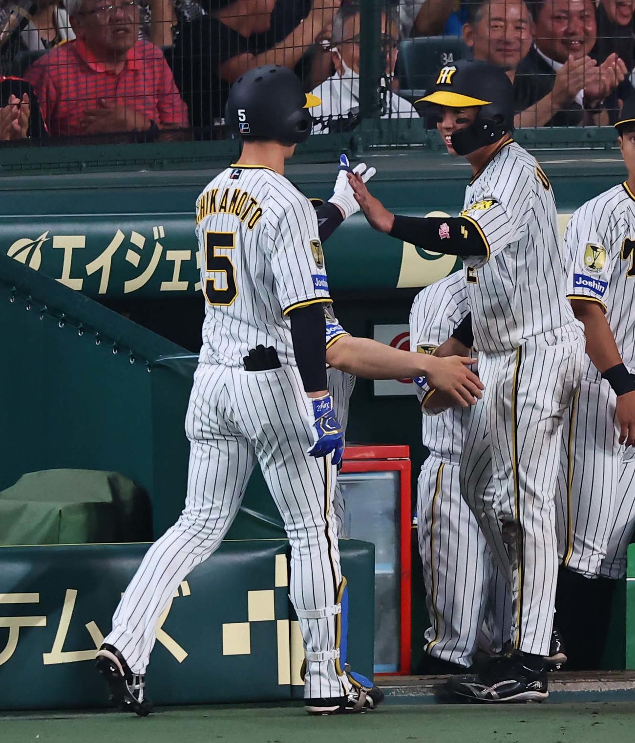 阪神対DeNA 7回裏阪神1死一、三塁、同点犠飛を放った近本（左）とハイタッチする梅野（撮影・上田博志）