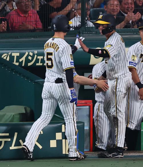 阪神対DeNA 7回裏阪神1死一、三塁、同点犠飛を放った近本（左）とハイタッチする梅野（撮影・上田博志）