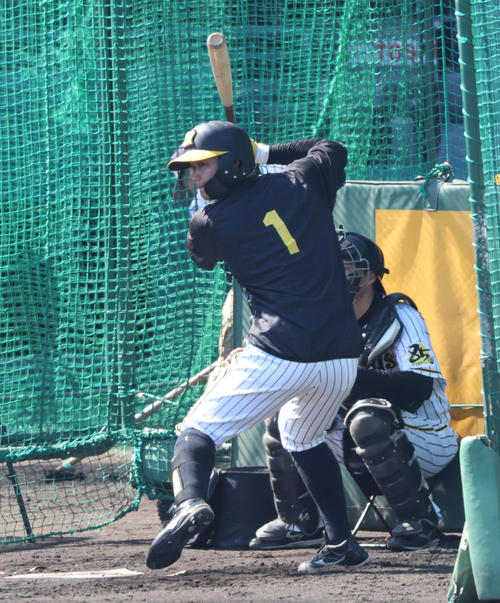 阪神対DeNA　フリー打撃に励む森下（撮影・宮崎幸一）