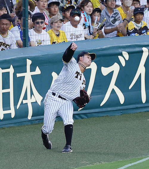 阪神対巨人　2回表巨人1死、左前打で二塁を狙った泉口を刺す野口（撮影・藤尾明華）