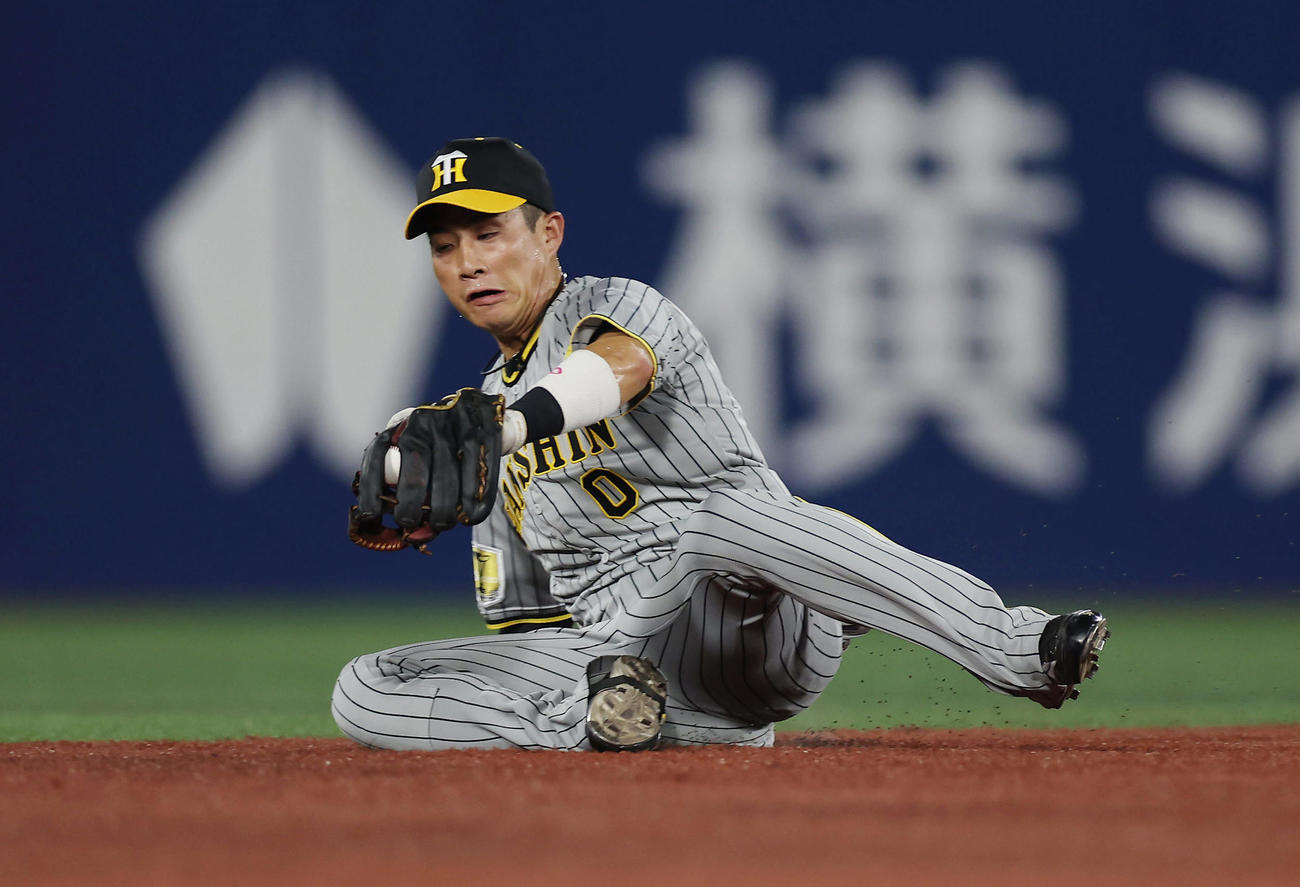 DeNA対阪神　8回裏DeNA無死一塁、度会の遊ゴロで好守を見せる木浪（撮影・前田充）