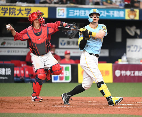 阪神対広島　4回裏阪神1死、空振り三振する佐藤輝（撮影・和賀正仁）