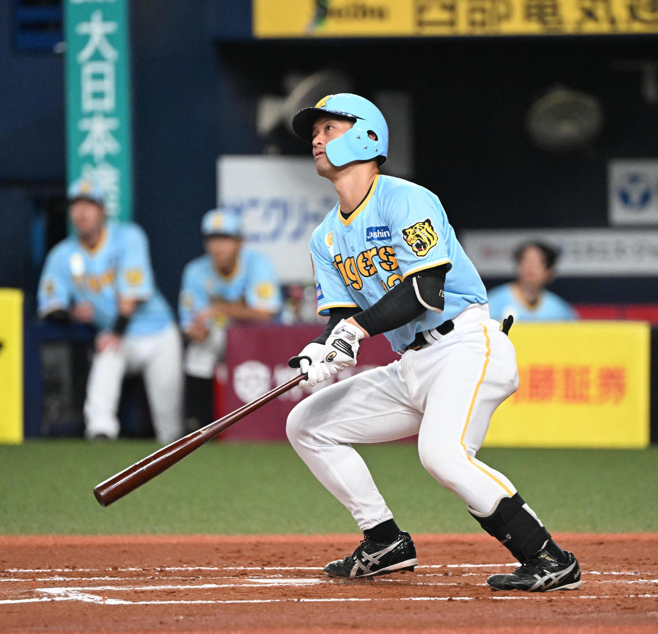 阪神坂本誠志郎（2024年8月10日撮影）