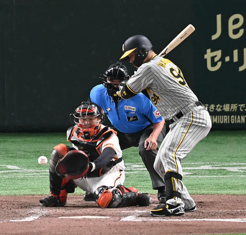 巨人対阪神　7回表阪神1死、代打原口は四球を選ぶ（撮影・山崎安昭）