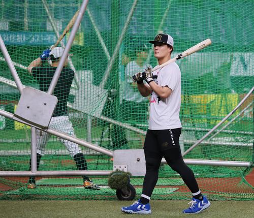 阪神対ヤクルト　早出特打に前川、島田、糸原、熊谷らが参加（撮影・加藤哉）