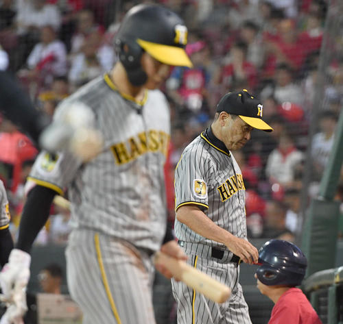 広島対阪神　7回表阪神無死一、二塁、木浪（手前）がスリーバントを試みるも失敗となり、次打者に代打を告げて厳しい表情でベンチへ戻る岡田監督（撮影・岩下翔太）