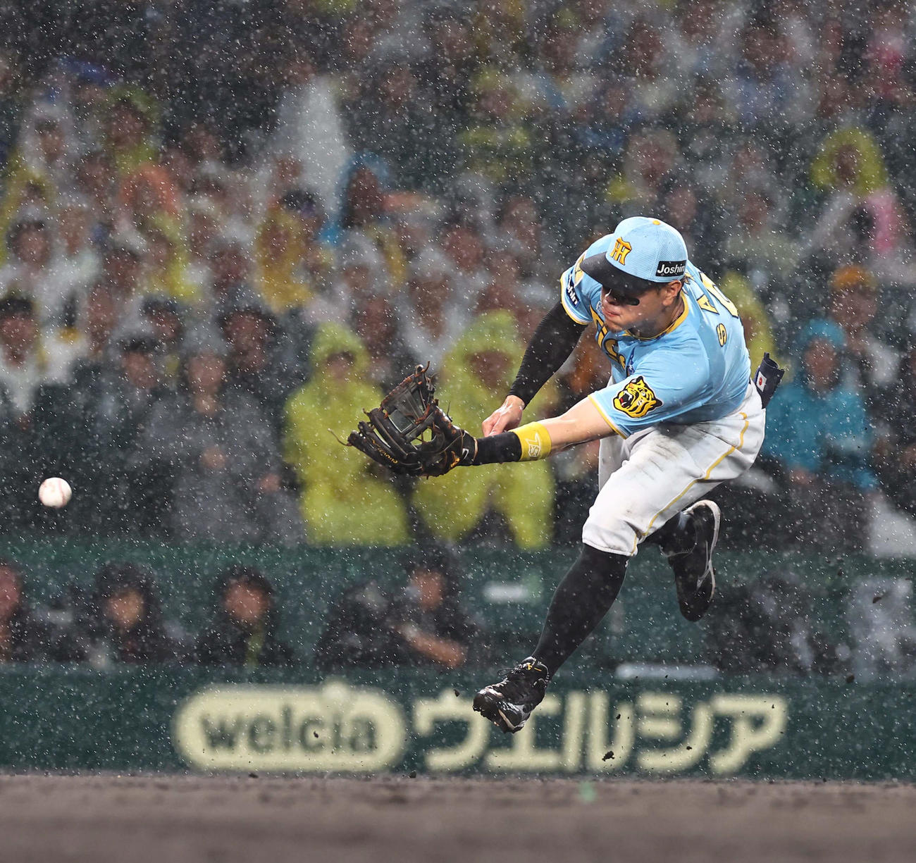 阪神対巨人　7回表巨人無死一、三塁、佐藤輝は小林のバントを本塁へグラブトスするもフィルダースチョイスとなる（撮影・上田博志）