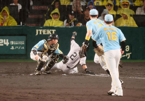 阪神対巨人　7回表巨人無死一、三塁、佐藤輝は小林の三塁線セーフティースクイズを梅野へトスするがセーフとなる。三塁走者吉川、捕手は梅野、手前は西勇（撮影・加藤哉）