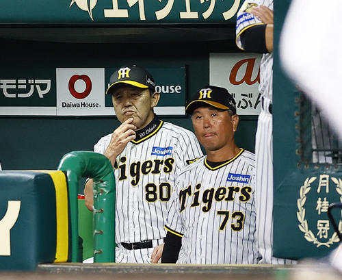 阪神対DeNA 6回裏阪神無死一、三塁、ベンチでサインを出す阪神岡田監督（撮影・藤尾明華）