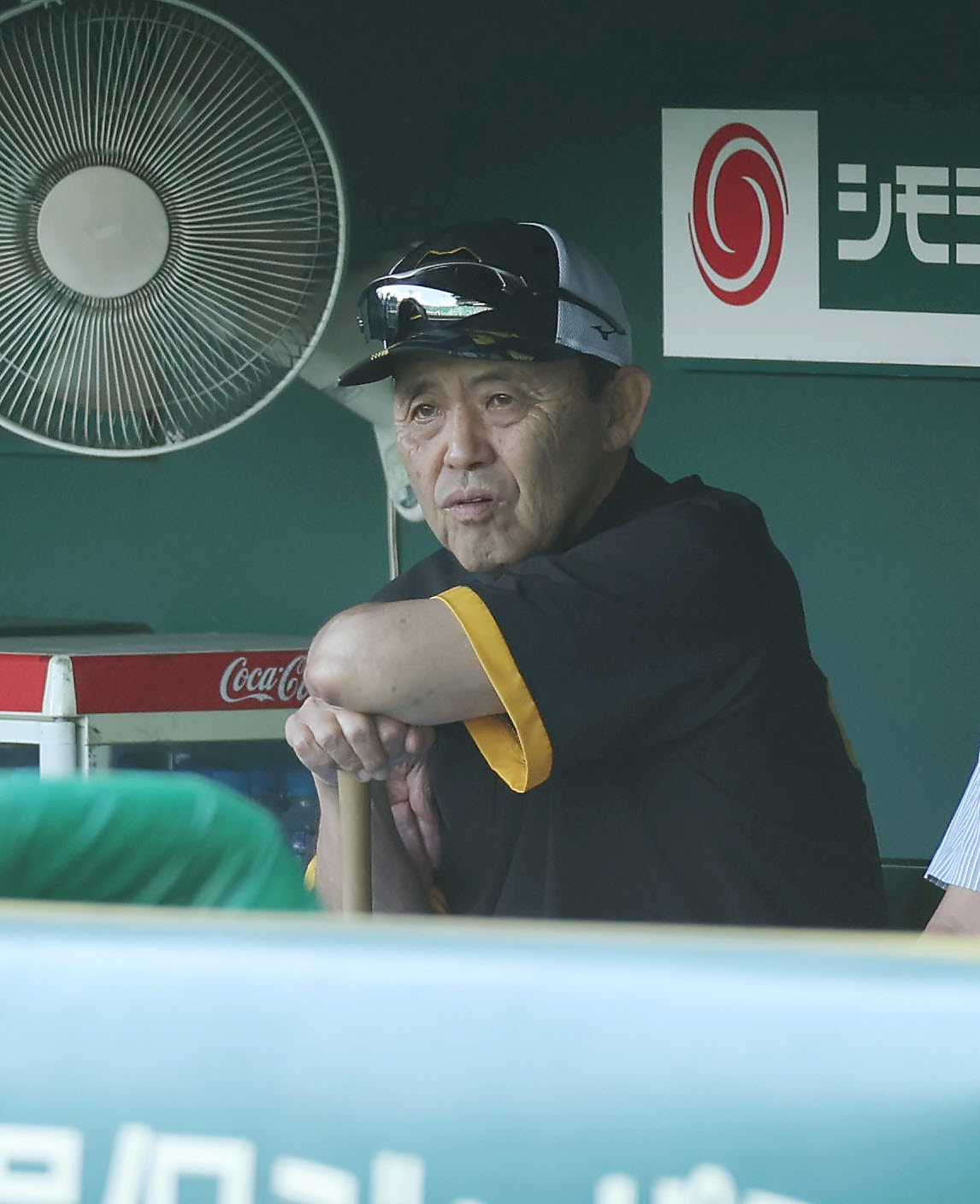 阪神対DeNA　ベンチから試合前練習を見守る阪神岡田監督（撮影・前田充）