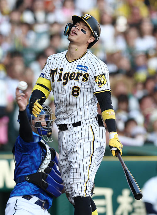 阪神対DeNA 7回裏阪神無死、ストライク判定に納得いかないような表情を見せる佐藤輝（撮影・前田充）