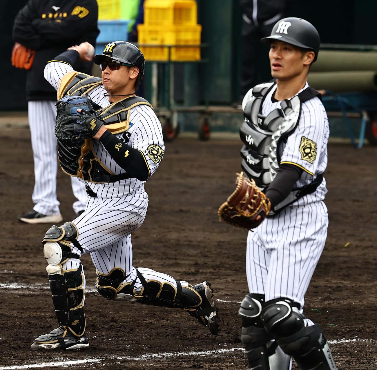 シートノックで三塁へ送球する梅野。右は坂本（2025年2月4日撮影）