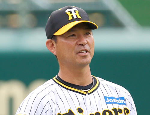 阪神筒井壮外野守備兼走塁チーフコーチ（2024年10月23日撮影）