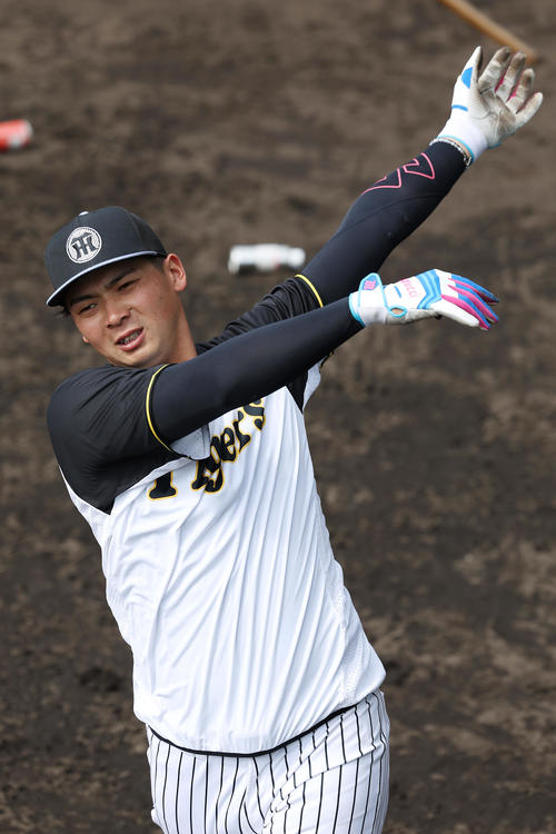 阪神井上