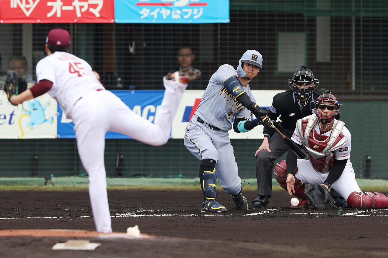 楽天対阪神　1回表阪神1死二塁、四球を選ぶ佐藤輝。投手松井（撮影・前田充）
