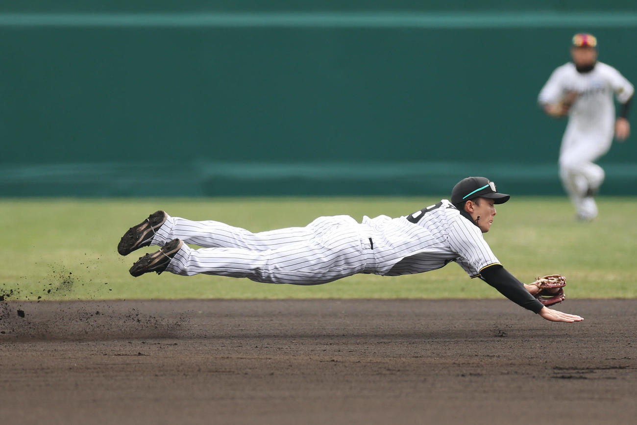 阪神対DeNA 1回表DeNA無死、梶原の遊ゴロで好守を見せる小幡（撮影・前田充）