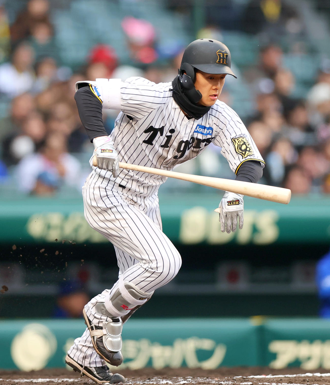 オープン戦・阪神対DeNA 6回裏阪神1死、小幡は遊撃内野安打を放つ（撮影・上山淳一）