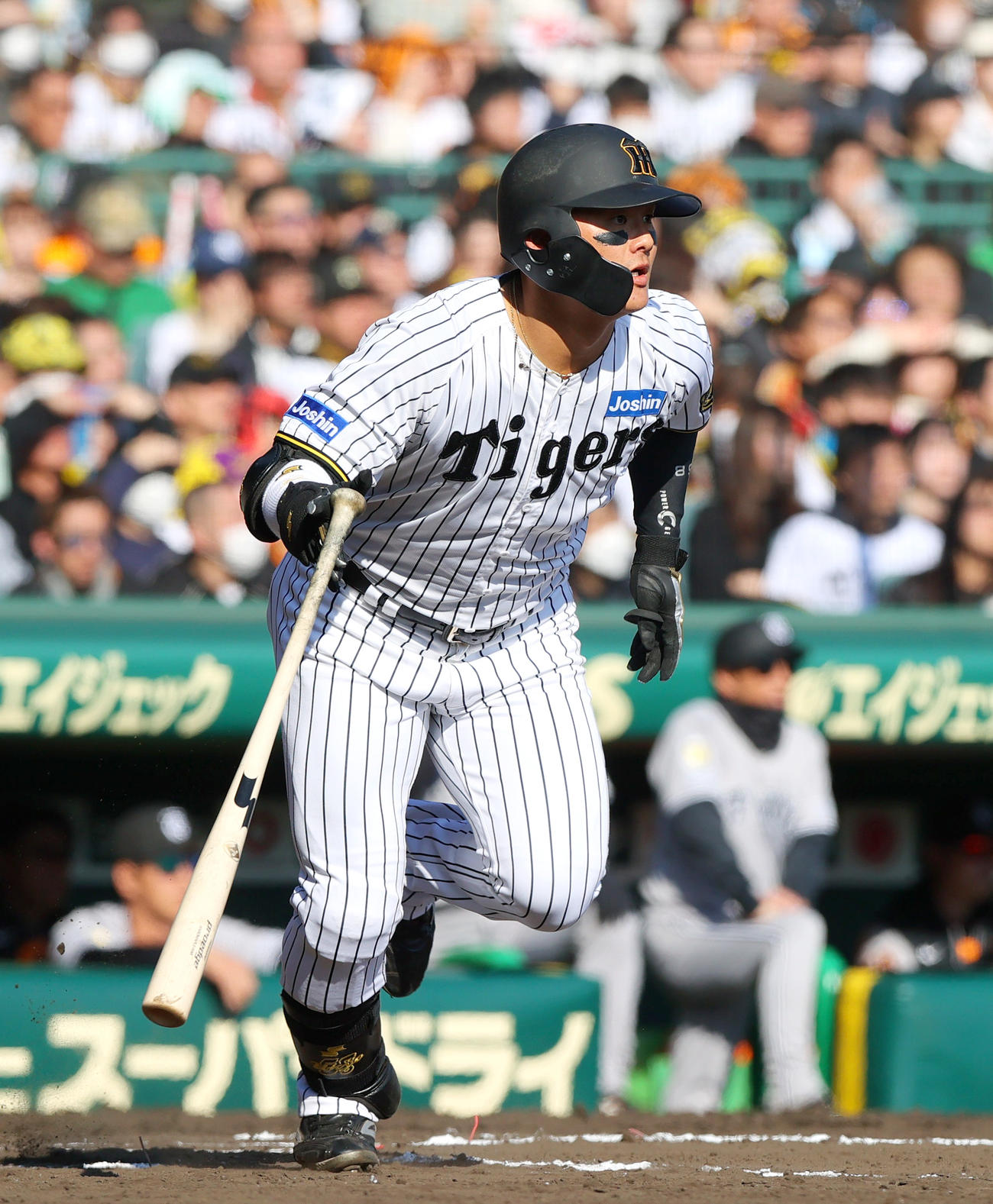 オープン戦・阪神対巨人　7回裏阪神無死、前川は右前打を放つ（撮影・上山淳一）