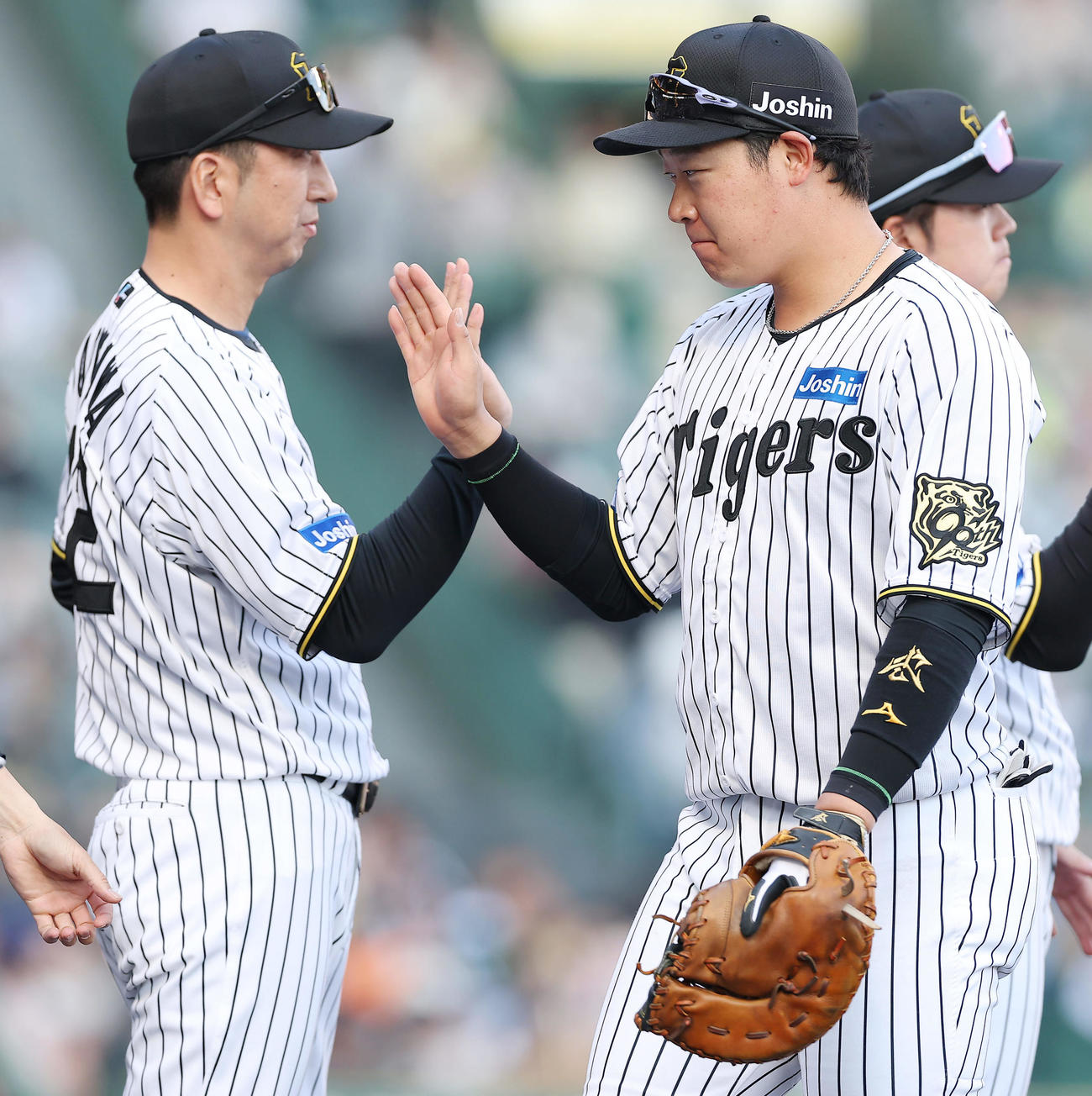 阪神対巨人　巨人に連勝しタッチを交わす阪神藤川監督（左）と大山（撮影・前田充）