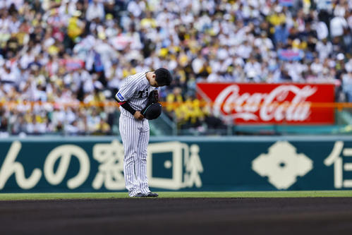 阪神対中日　6回、途中出場しグラウンドに一礼する阪神木浪（撮影・藤尾明華）