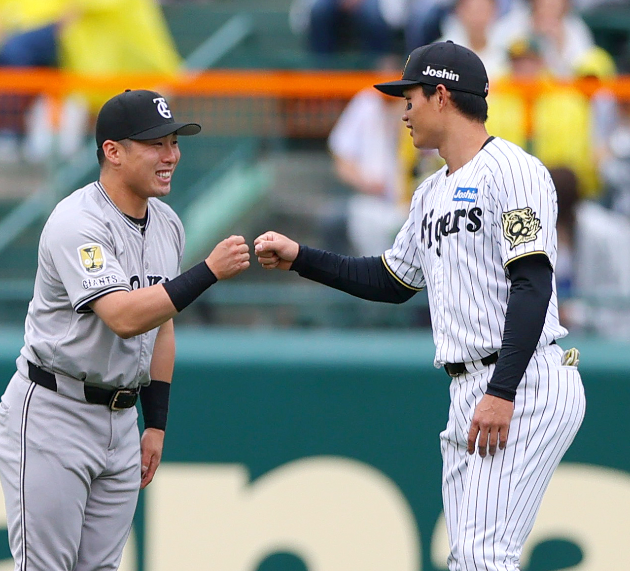 阪神対巨人　試合前、巨人浅野（左）とタッチをかわす阪神森下（撮影・上山淳一）