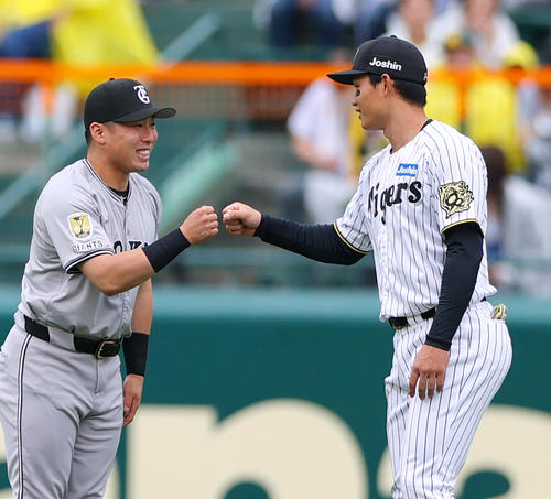 阪神対巨人　試合前、巨人浅野（左）とタッチをかわす阪神森下（撮影・上山淳一）