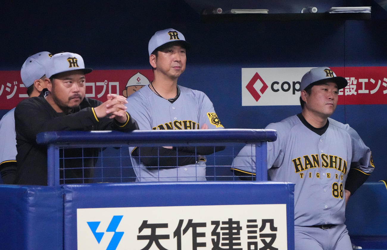 中日対阪神　9回表阪神2死二塁、藤川監督（右から2人目）はベンチから試合を見つめる（撮影・森本幸一）