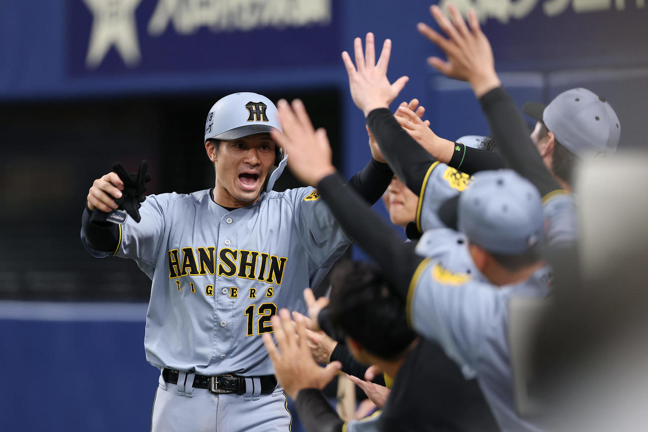 中日対阪神　9回表阪神無死二塁、島田のバントを処理したマルテの悪送球で生還し、ナインに迎えられる坂本（撮影・前田充）