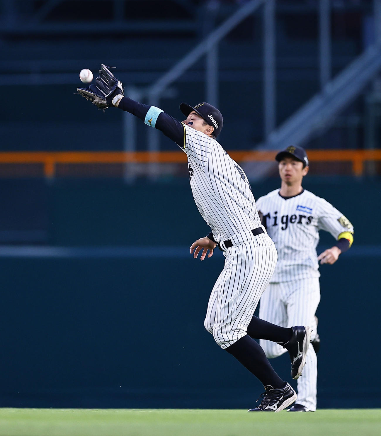 オースティンの右飛を好捕する佐藤輝明（撮影・藤尾明華）