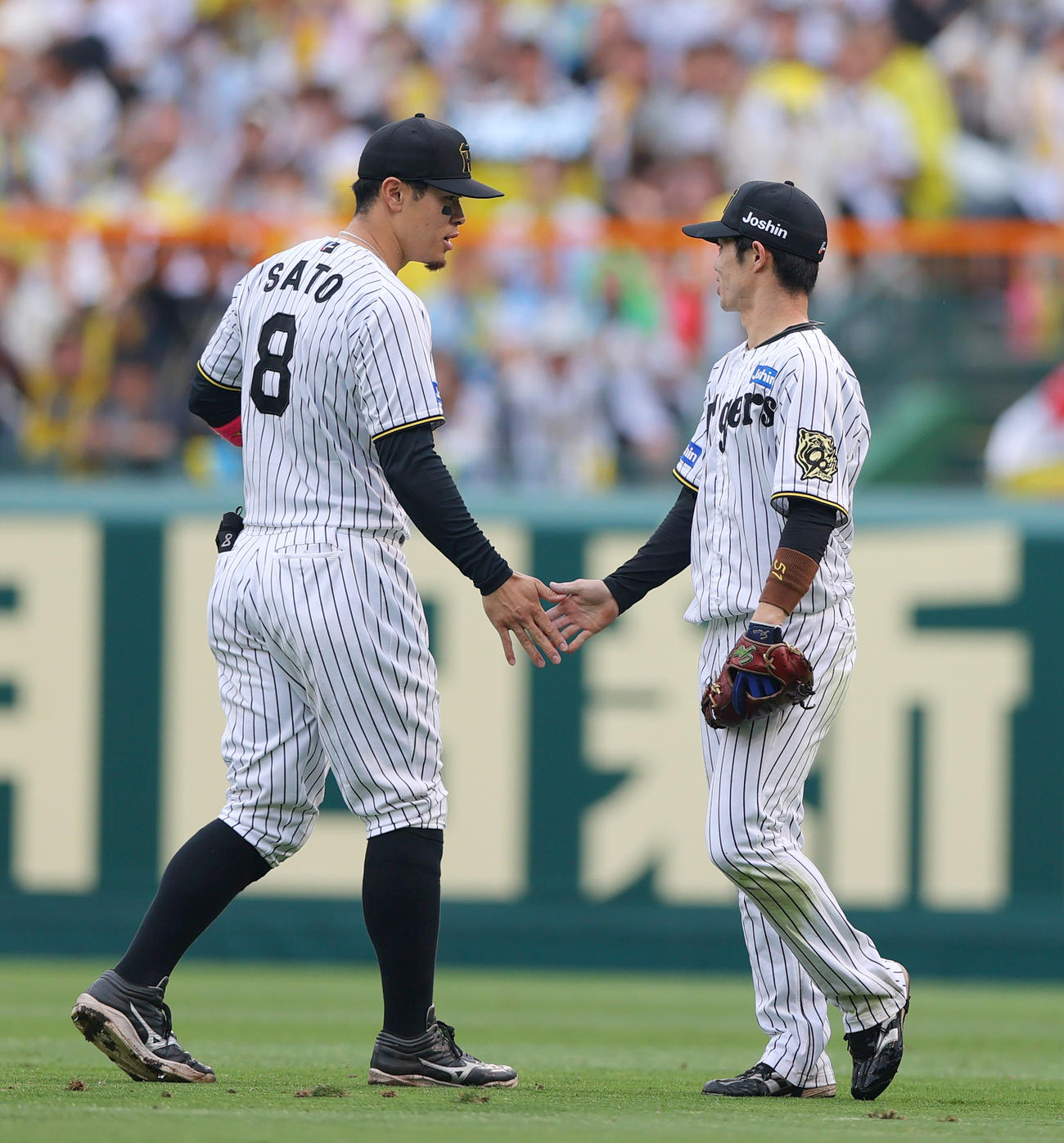 阪神対オリックス　6回表オリックス1死一塁、中野は杉本の二飛を好捕する。右は右翼手佐藤輝（撮影・上山淳一）
